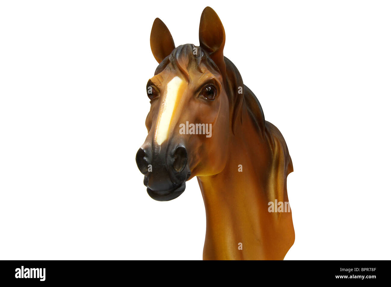 Brown horse in white background Stock Photo