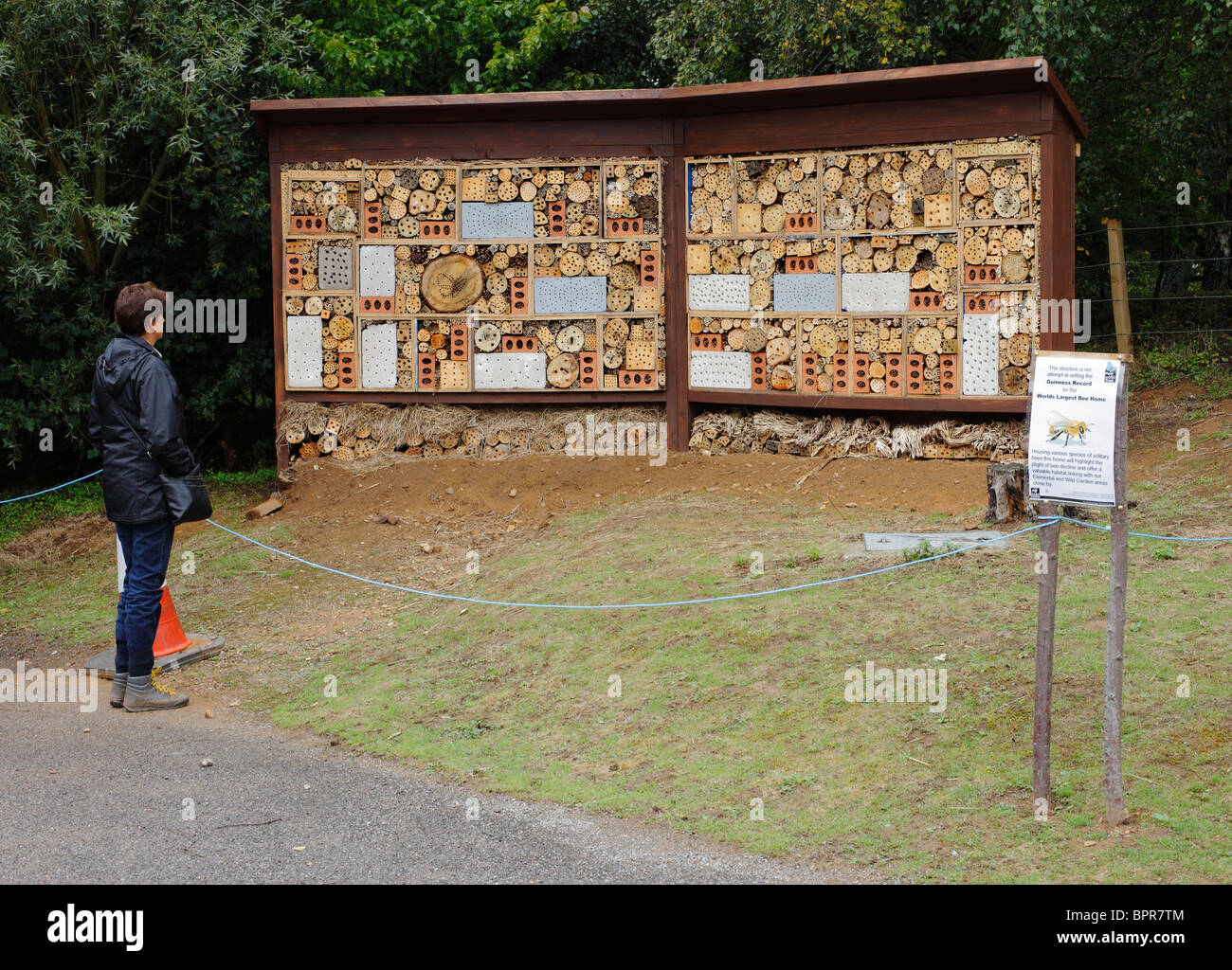 Woman looking at an attempt to build the worlds largest bee home. Stock Photo