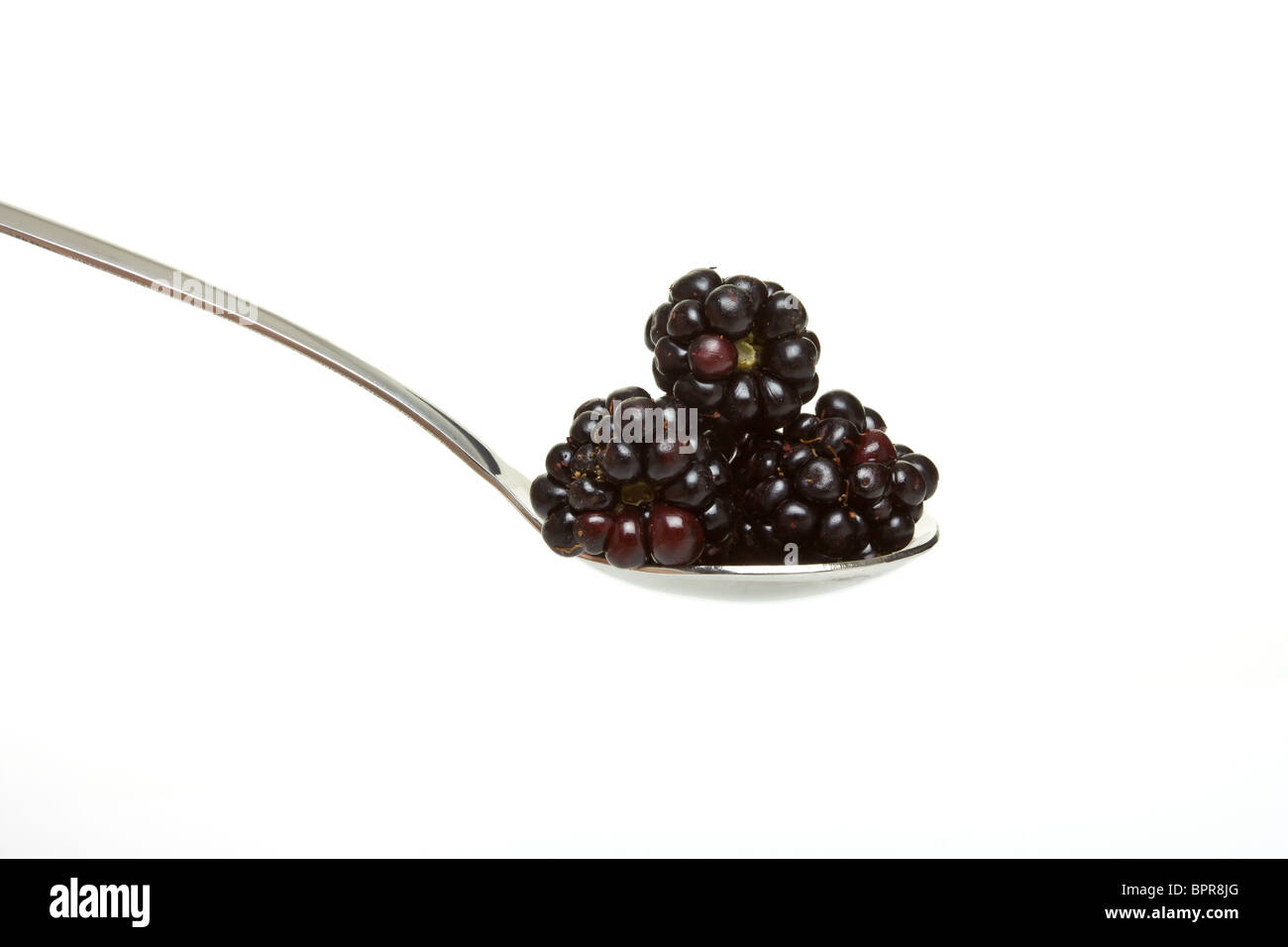 Small group of Wild hedgerow blackberries and silver spoon isolated on white. Stock Photo