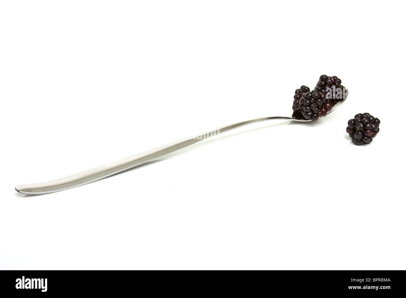Small group of Wild hedgerow blackberries and silver spoon isolated on white. Stock Photo