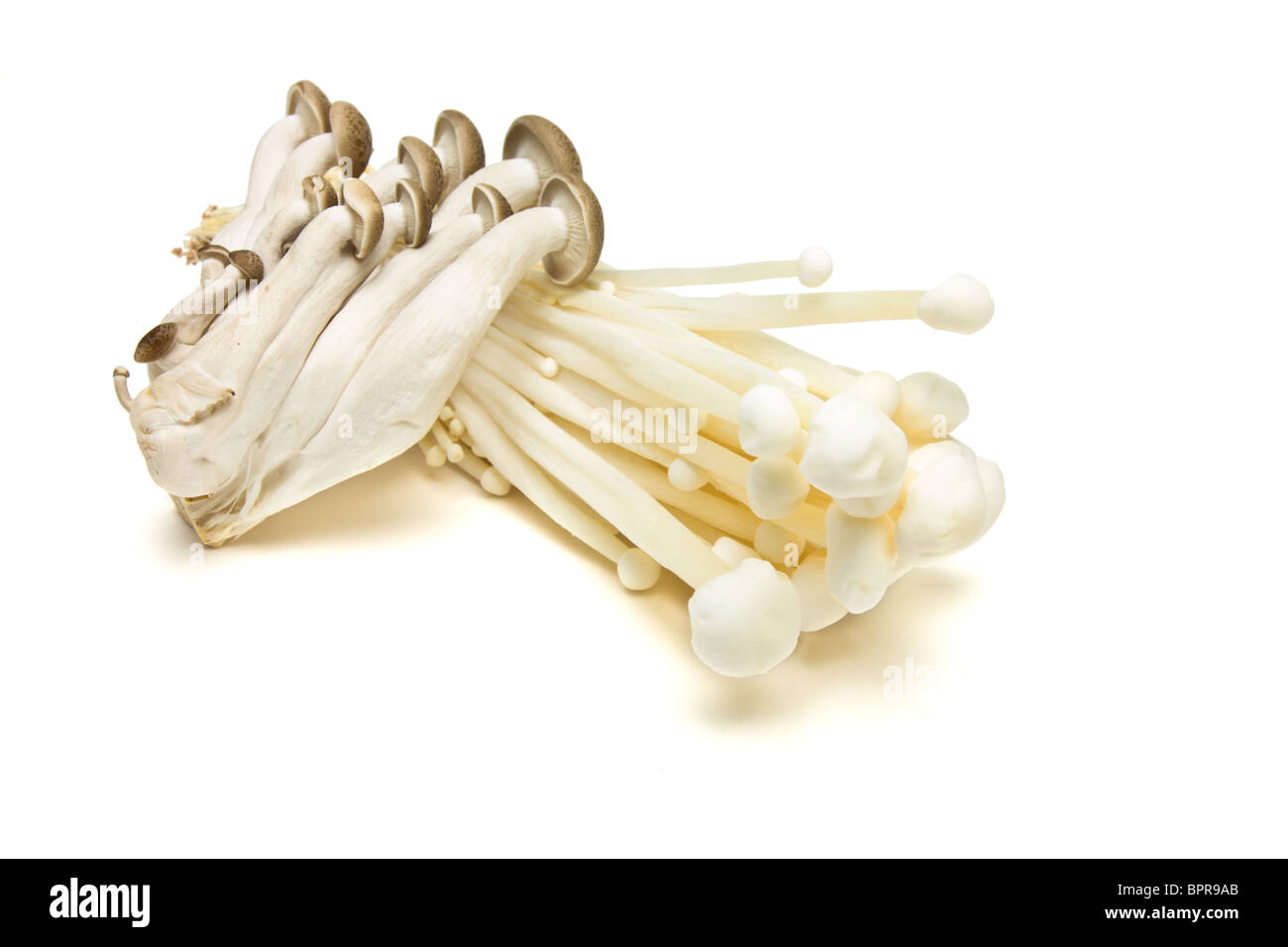 Brown enoki mushrooms hires stock photography and images Alamy