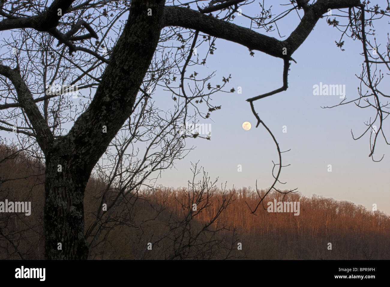 Moonrise, Hare Mountain, Arkansas Stock Photo