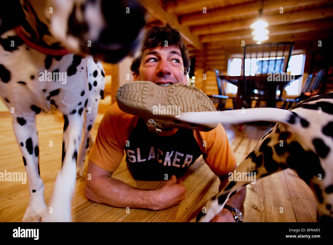 Man with a shoe in his mouth surrounded by dogs Stock Photo Alamy