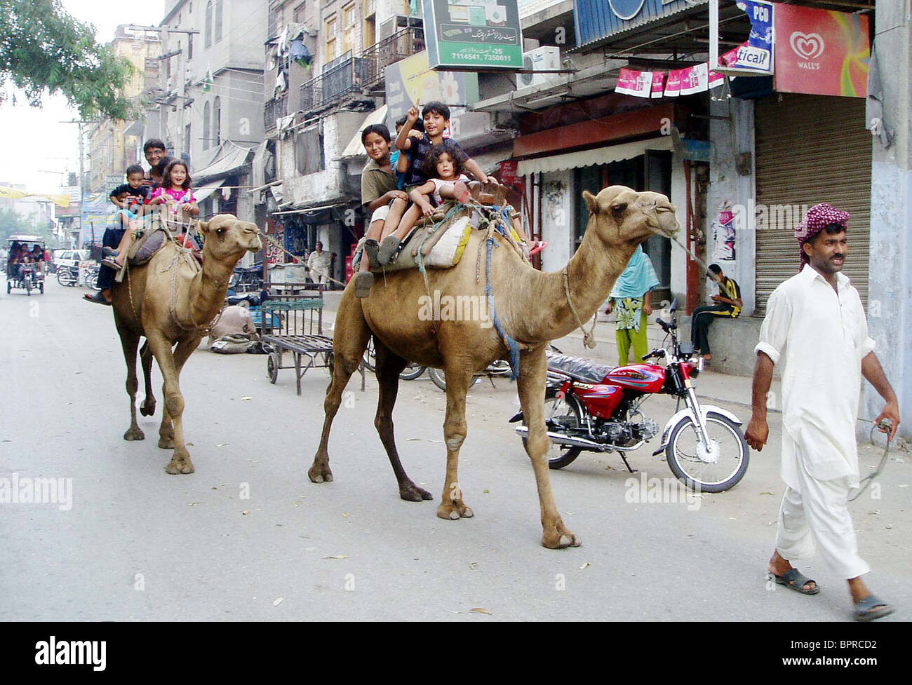 Children enjoy ride on camels at Nisbat road in Lahore Stock Photo Alamy