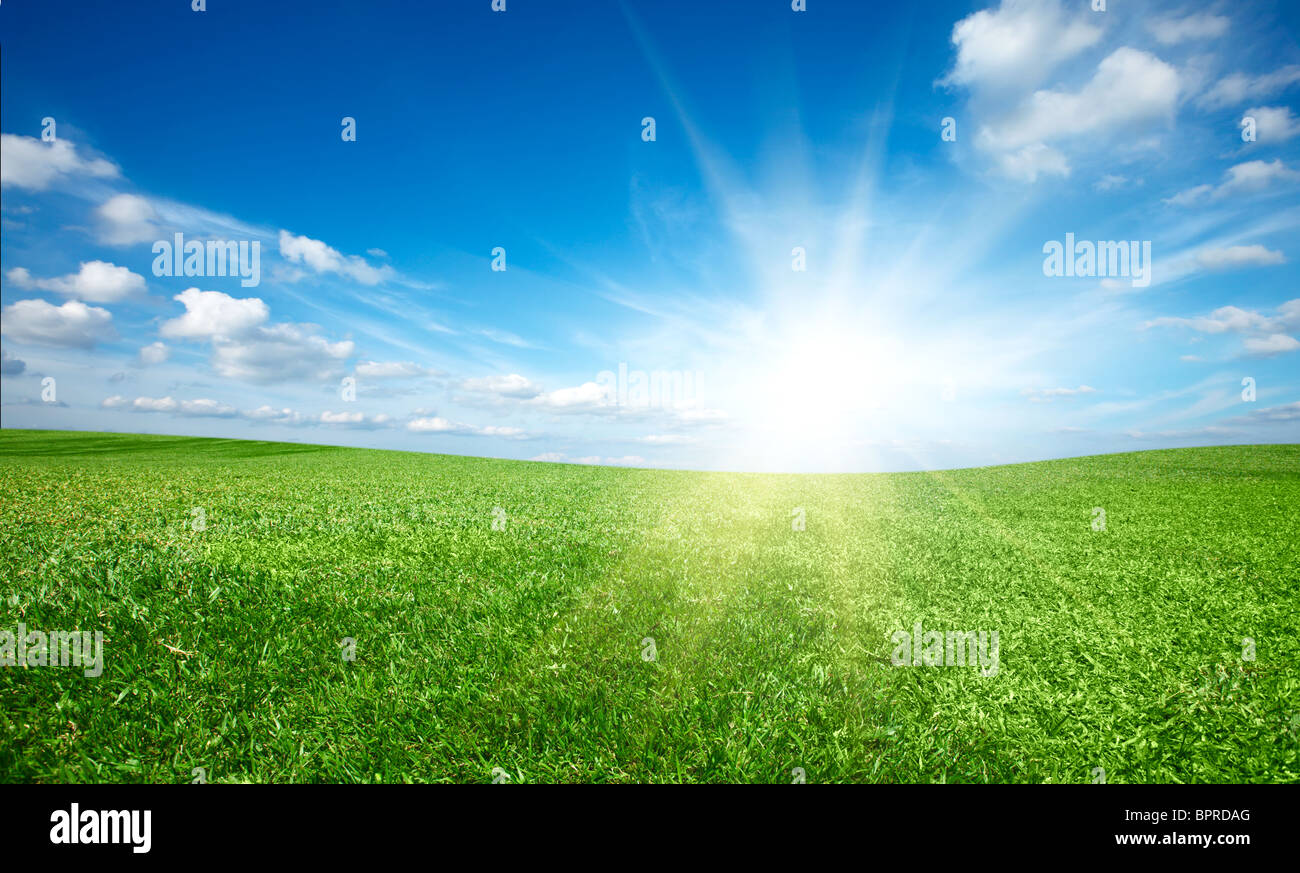 Sunset, sun and field of green fresh grass under blue sky Stock Photo ...