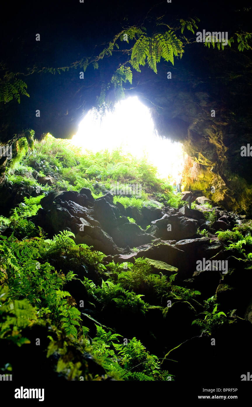 Entrance to natural caves with lush greenery Stock Photo