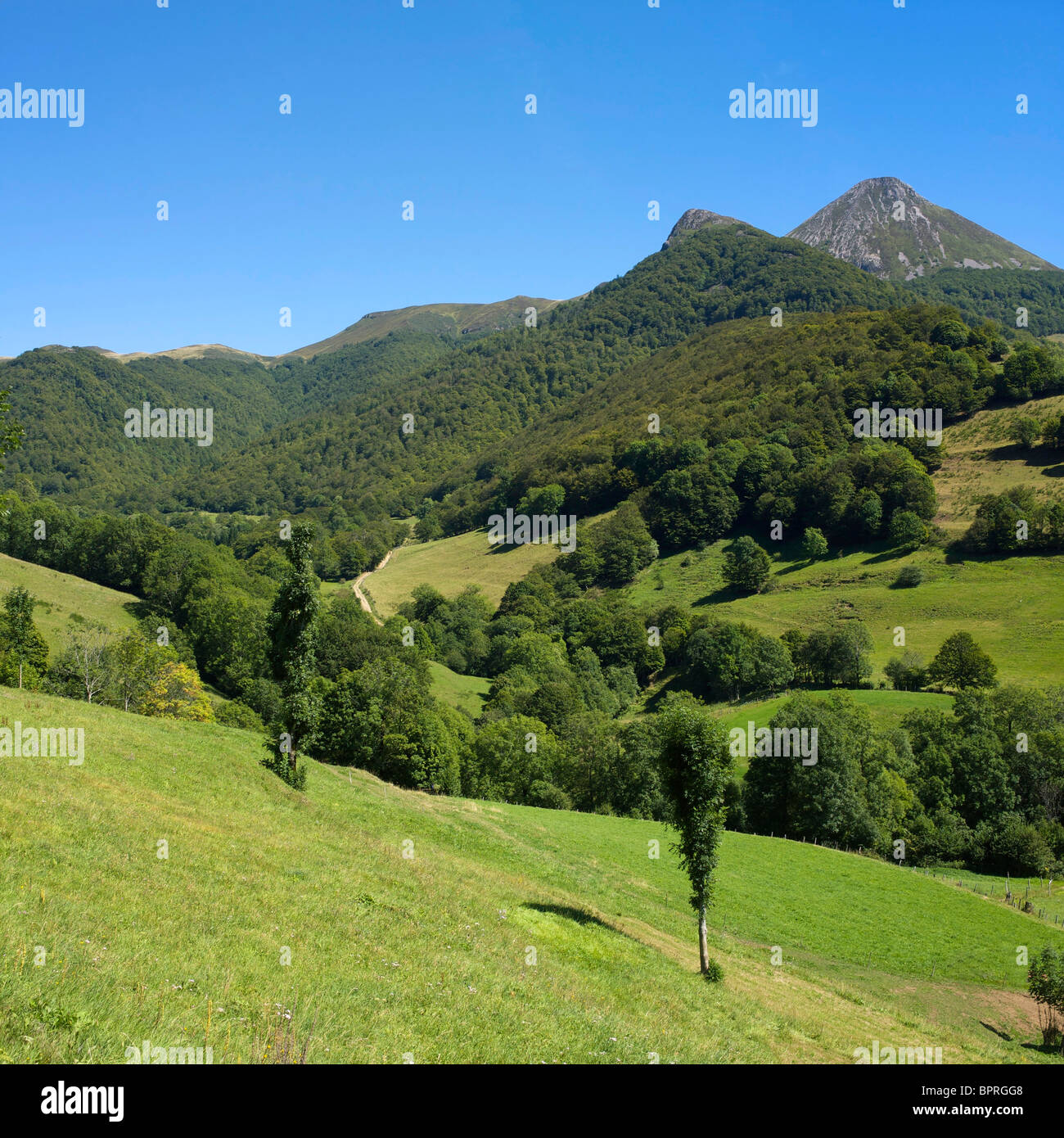 Puy Griou, Département Cantal, Region Auvergne, France, Europe Stock Photo