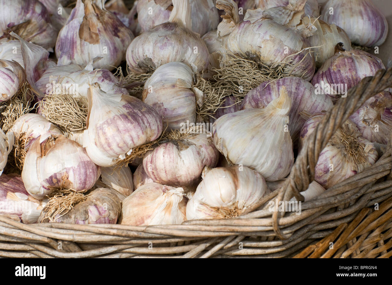 garlic bulbs in wicker basket Stock Photo Alamy