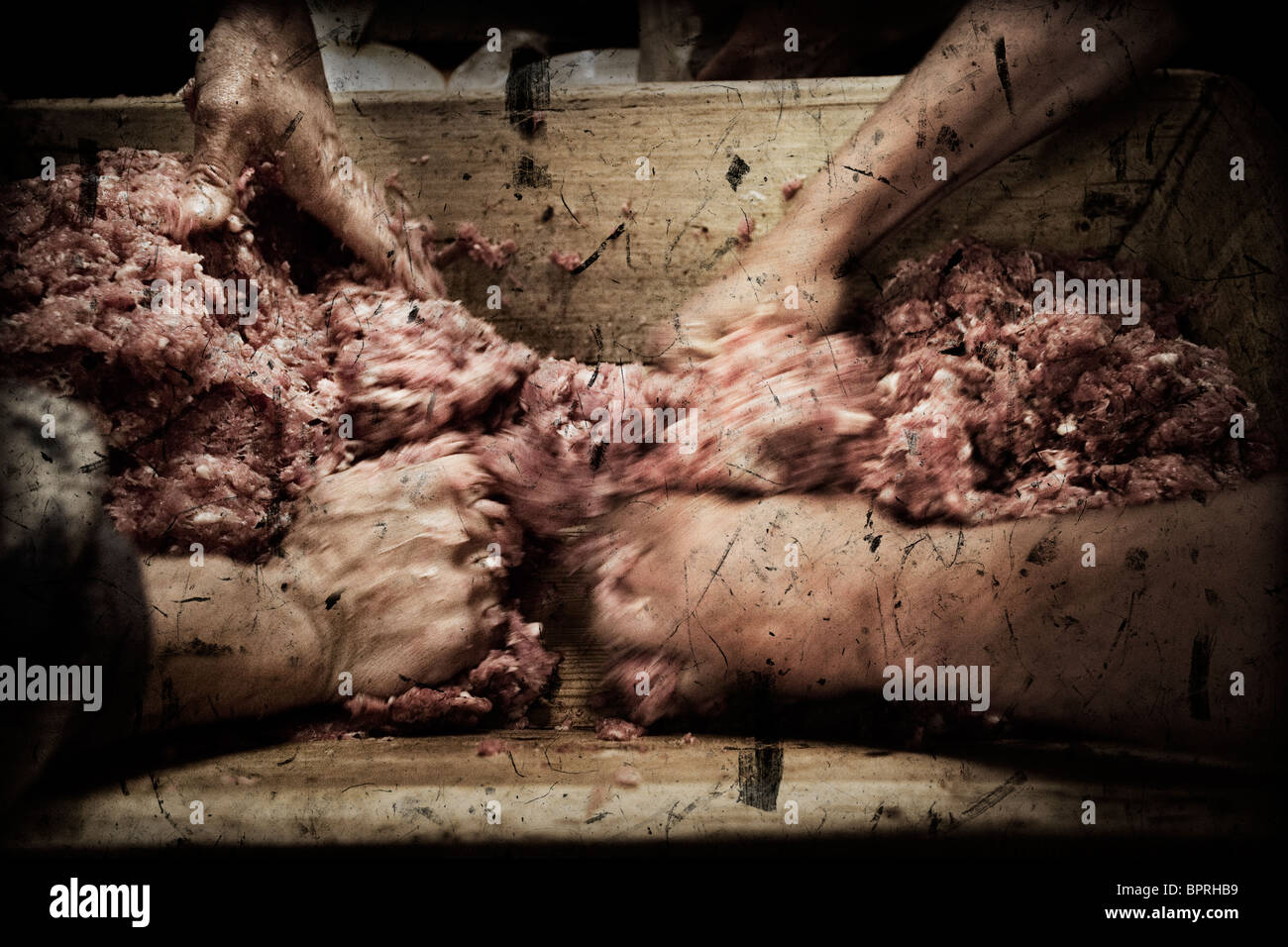 Two people mixing the meat of a pig with salt and pepper in Pirineos, Lerida, Spain. Stock Photo
