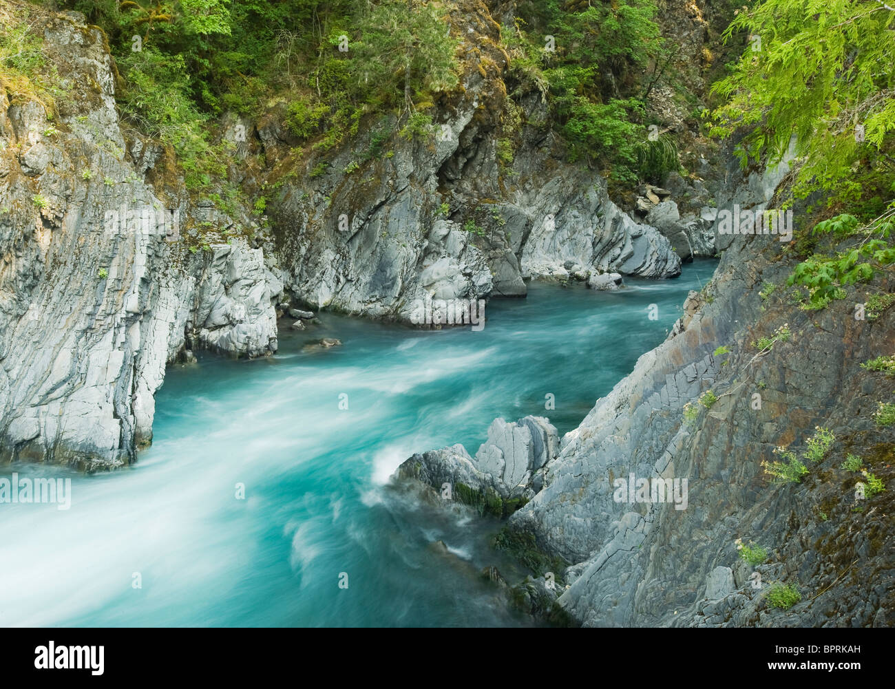 Goblin's Gate, Narrow Canyon on Elwha River, Olympic National Park, Washington USA Stock Photo