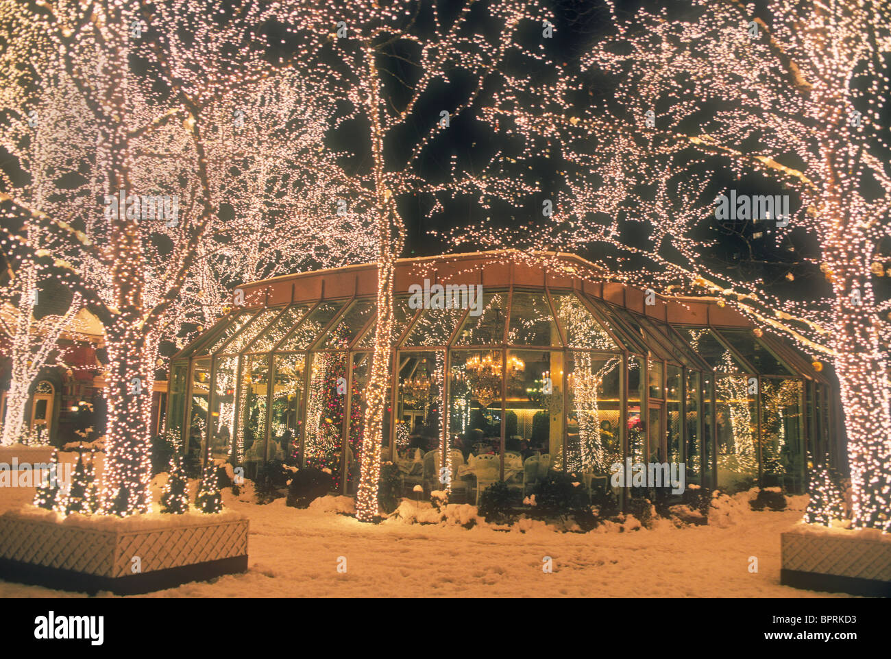 Lighted Trees Outside Tavern On The Green Tavern On The, 48 OFF