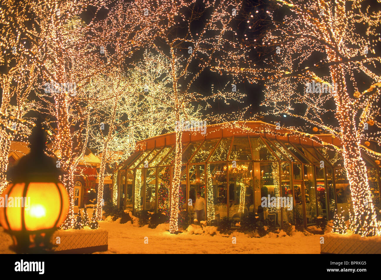 Tavern on the Green restaurant lights Stock Photo - Alamy