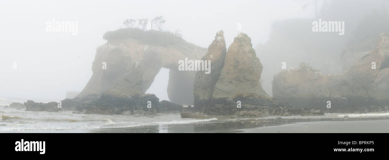 Seastacks and arch in fog, Elephant Rock, Quinault Indian Reservation, Pacific Coast, Washington, USA  PANORAMIC Stock Photo