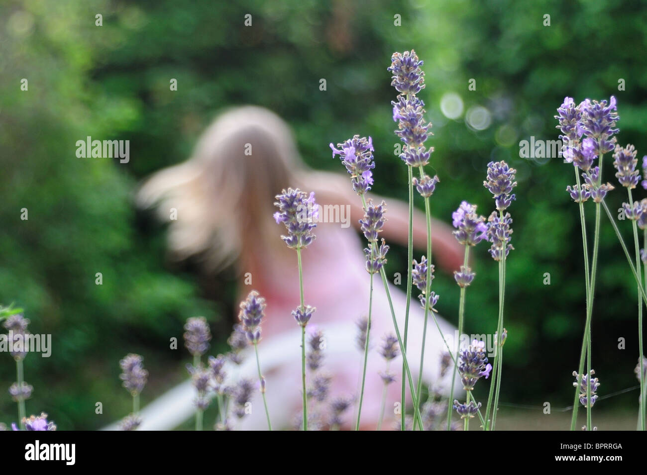 Blurred young girl dancing behind lavender Stock Photo