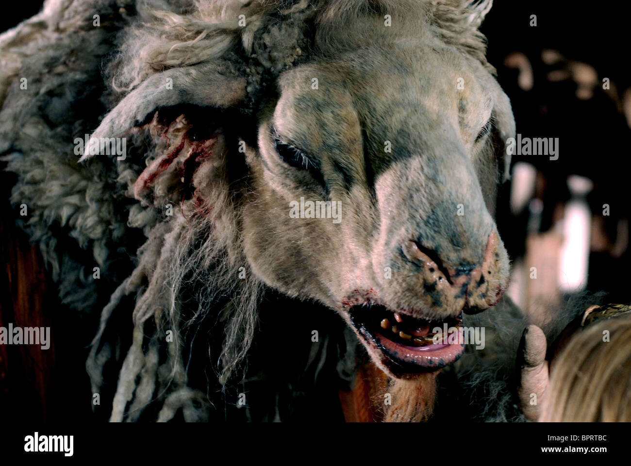 black sheep 2006