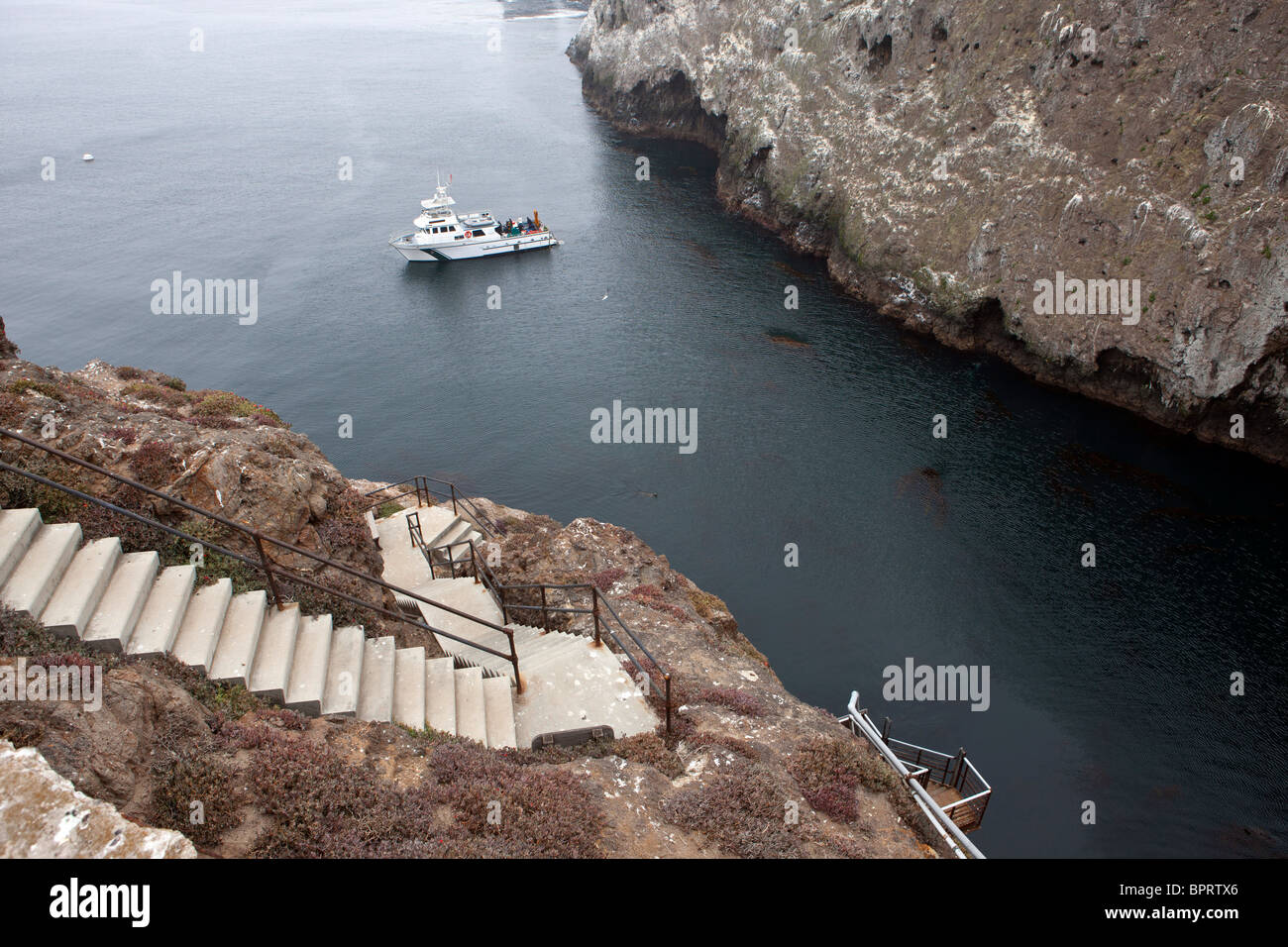 Stairs down cliff to dock, Anacapa Island, Channel Islands National Park, California, United States of America Stock Photo