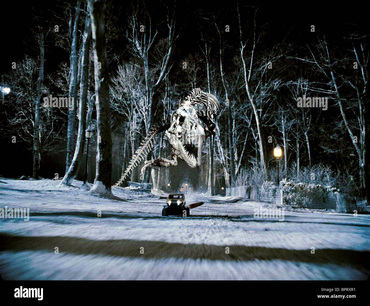 TYRANNOSAURUS REX SKELETON NIGHT AT THE MUSEUM (2006 Stock Photo