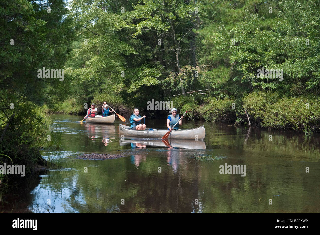 Canoeing in the Wading River in the Pine Barrens of New Jersey Stock