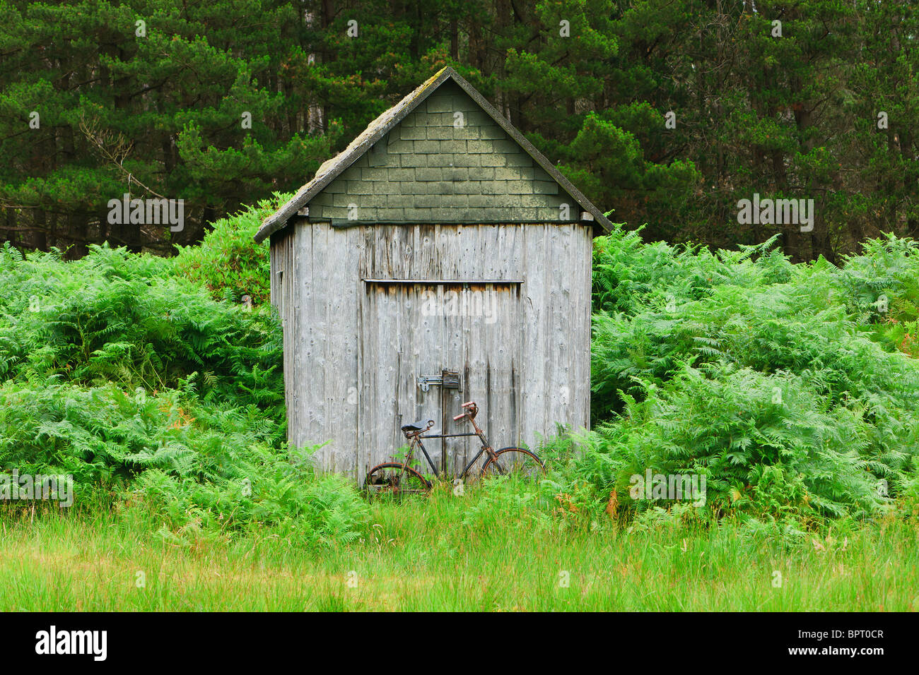 Old bicycle against a barn on the road to Loch Leven Stock Photo