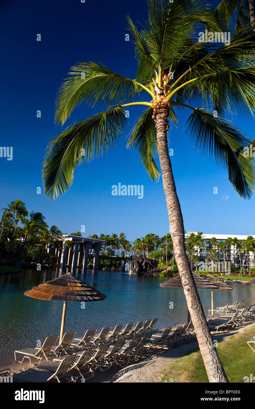 Palm tree and beach, Hilton Waikoloa Village, The Big Island, Hawaii