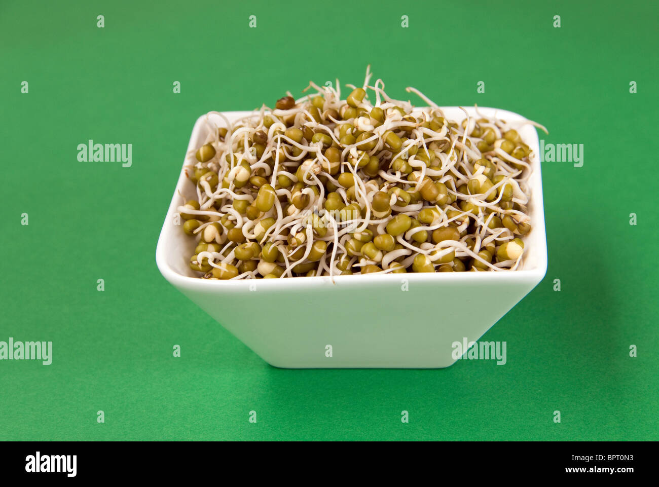 bowl of green gram sprouts against green background Stock Photo