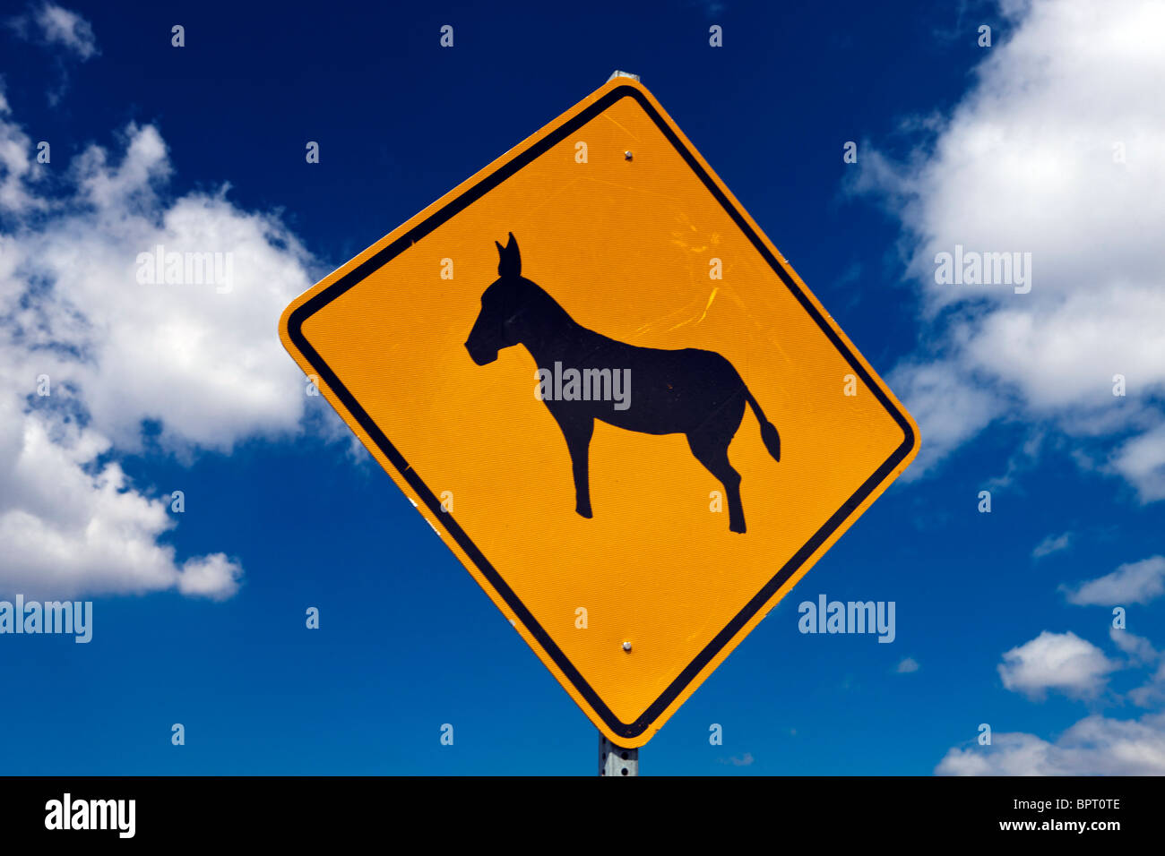 Donkey crossing road sign, The Big Island, Hawaii, United States of America Stock Photo