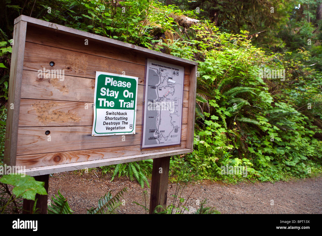 US Forest Service bulletin board with trail maps and warning to stay on trail, Lake Quinault Rain Forest Stock Photo