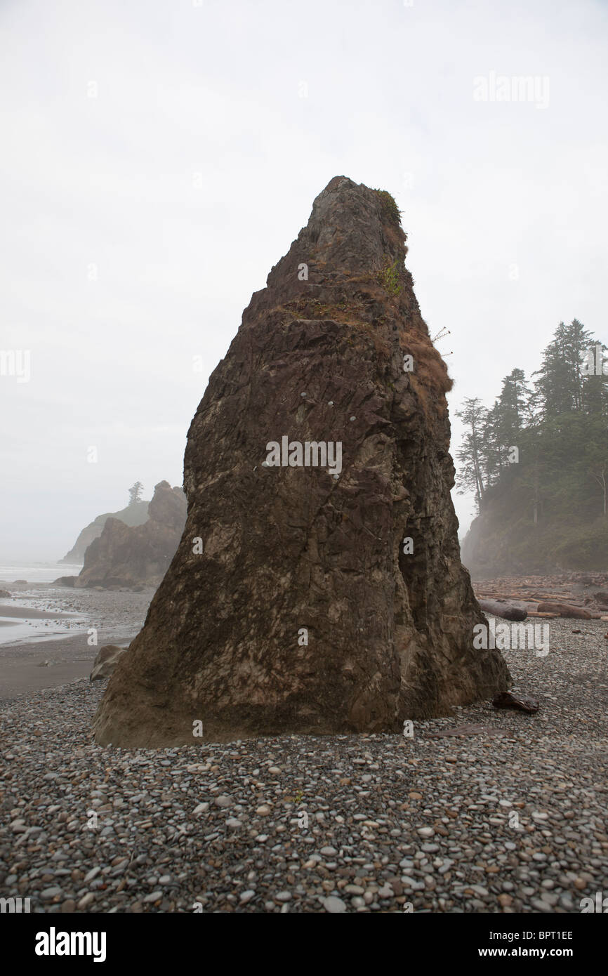 Sea stack on Ruby Beach at morning with foggy mist, Olympic National Park, Washington, United States of America Stock Photo