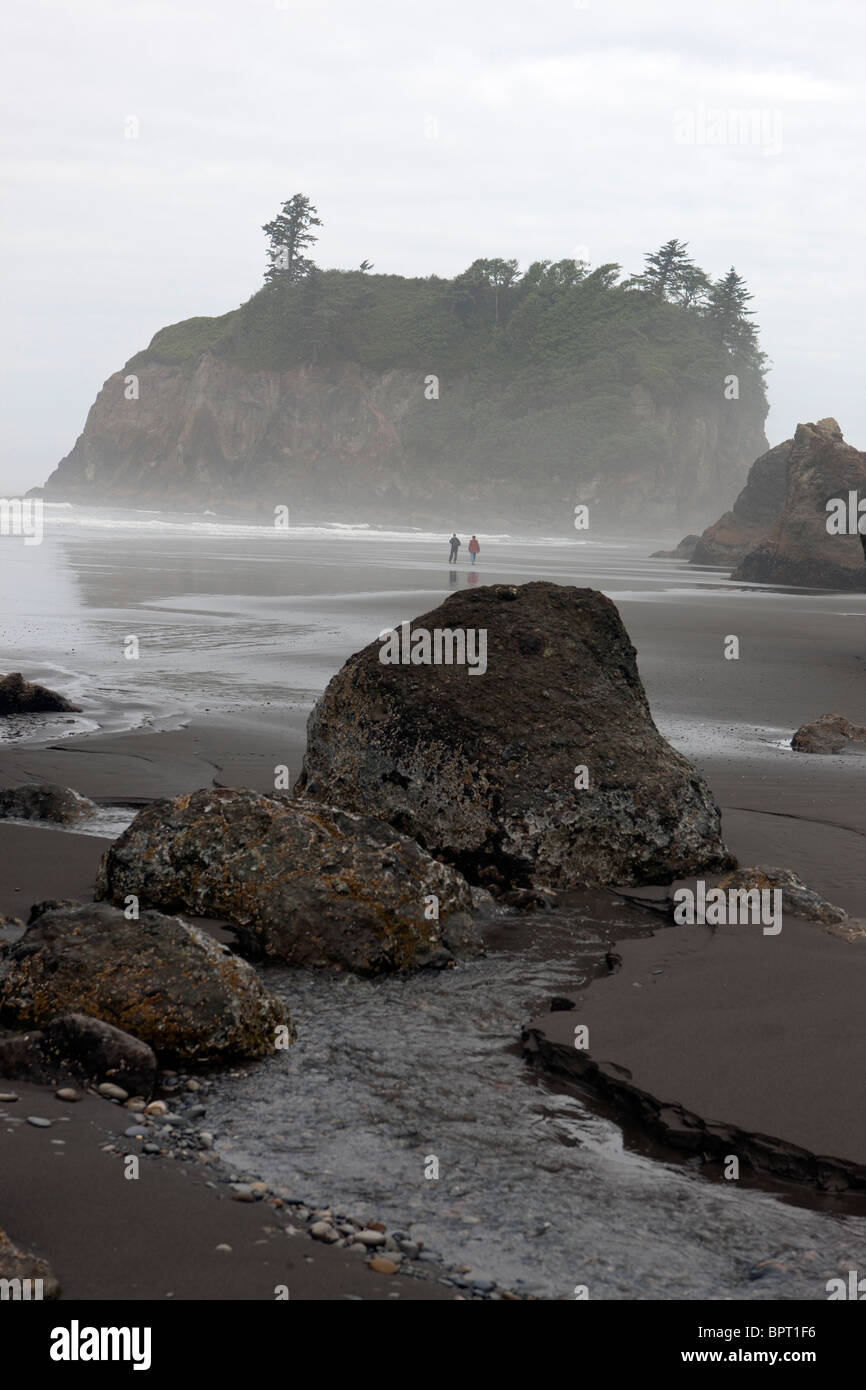 Sea stack on Ruby Beach at morning with foggy mist, Olympic National Park, Washington, United States of America Stock Photo