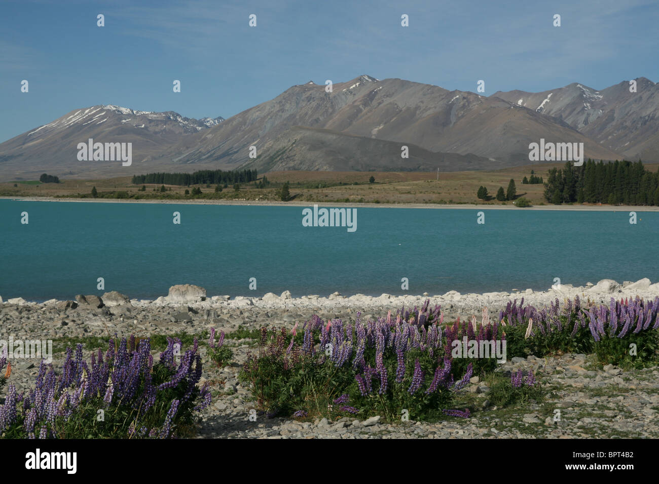 Lake Tekapo New Zealand Stock Photo - Alamy