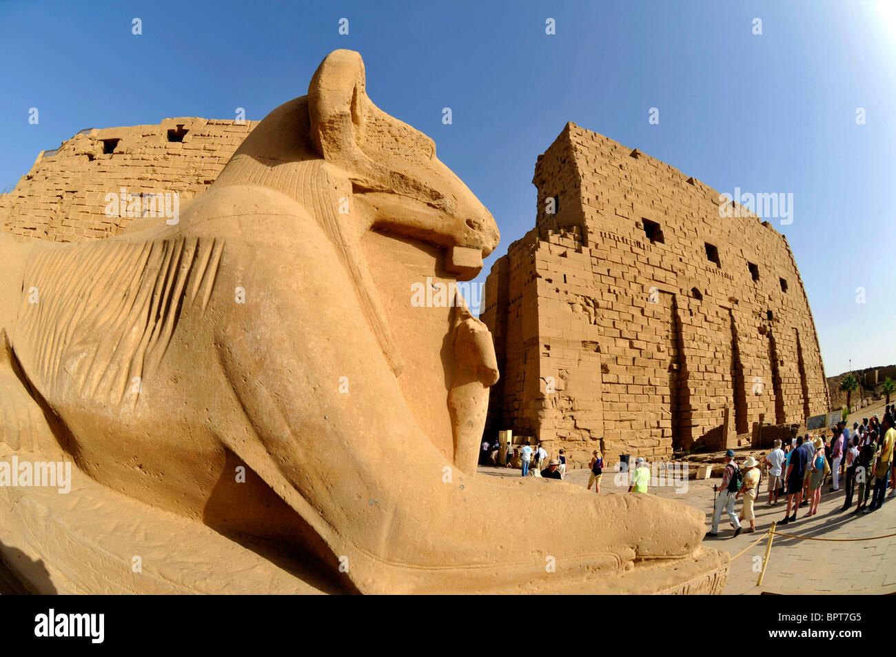 Karnak temple Egypt, ram-headed sphinx, a symbol of the god Amun, sculpture at the main entrance, Karnak, Egypt Stock Photo