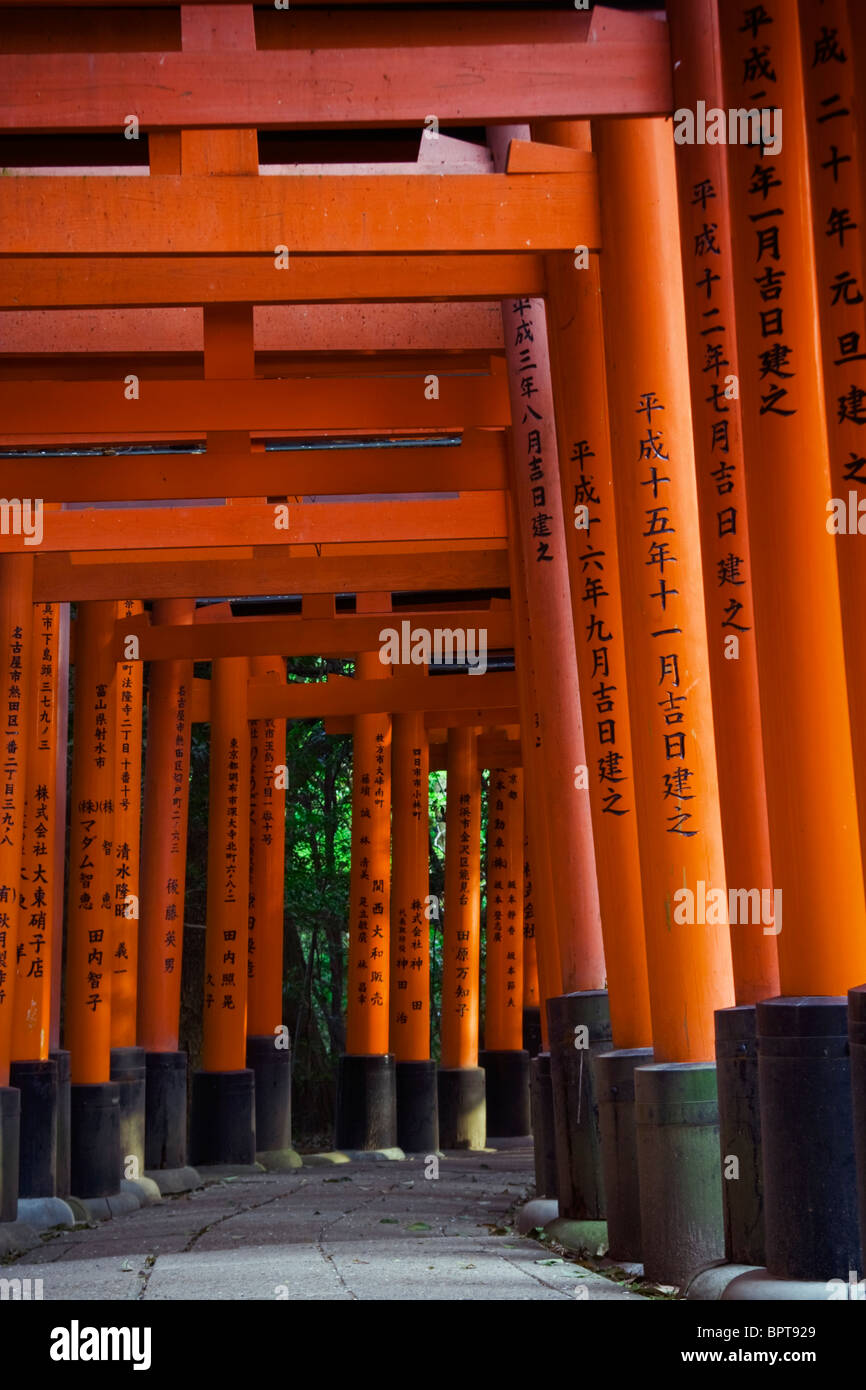 Red Gates (Torii) in Fushimi Inari Shrine, Kyoto, Japan Stock Photo Alamy