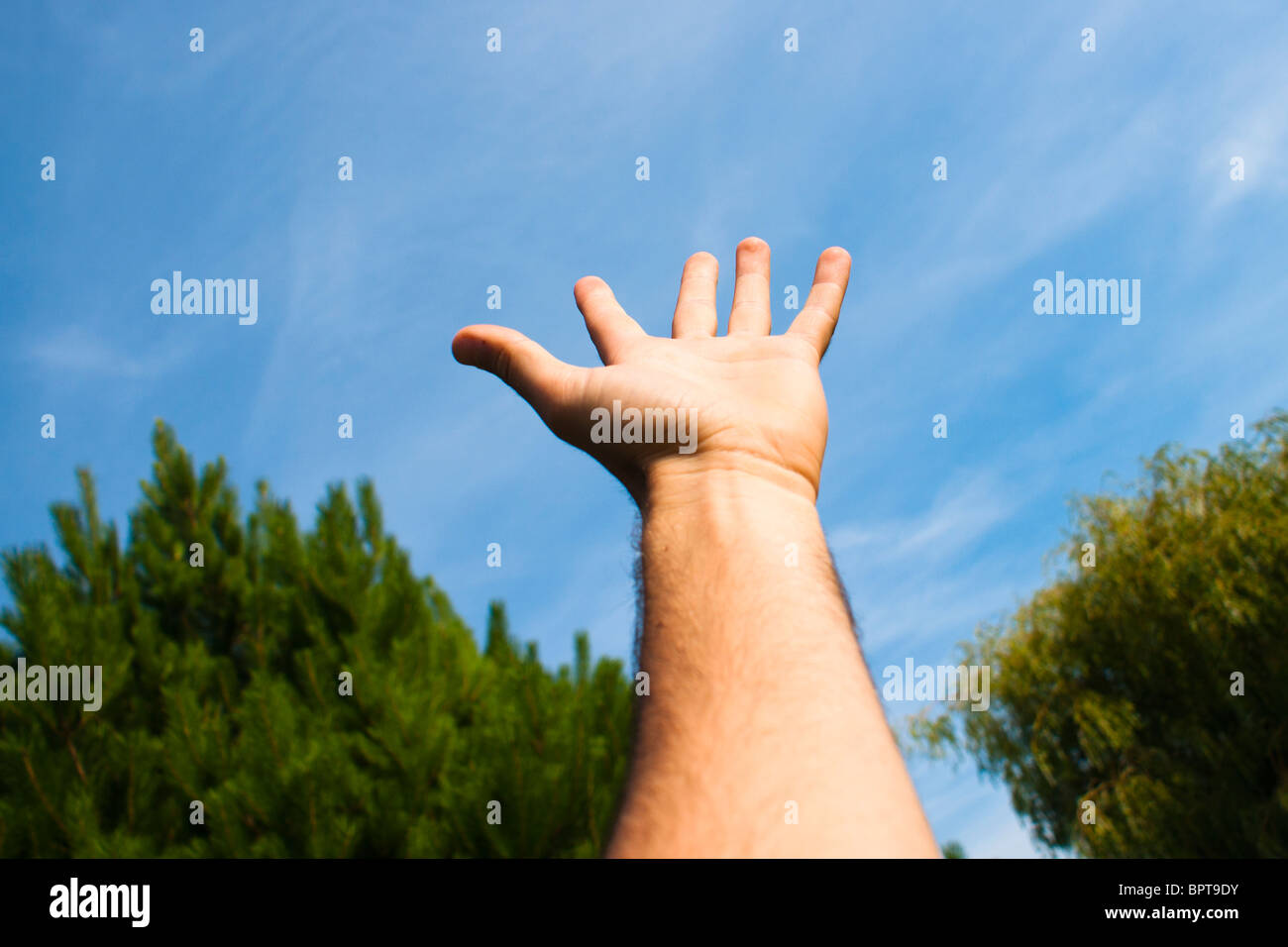 The hand that welcomes. Stock Photo
