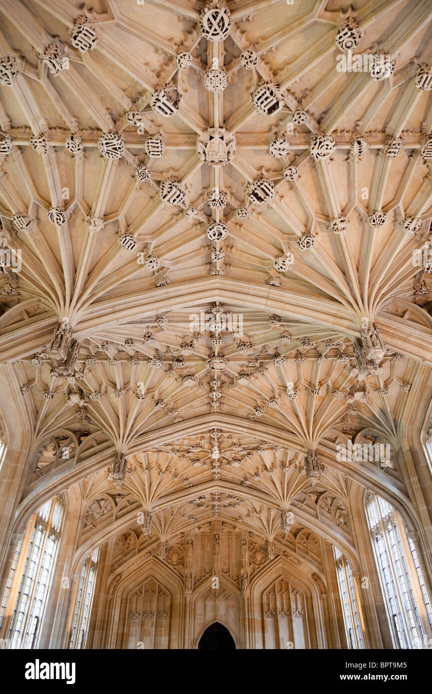 The Divinity School of the Bodleian Library, Oxford 3 Stock Photo