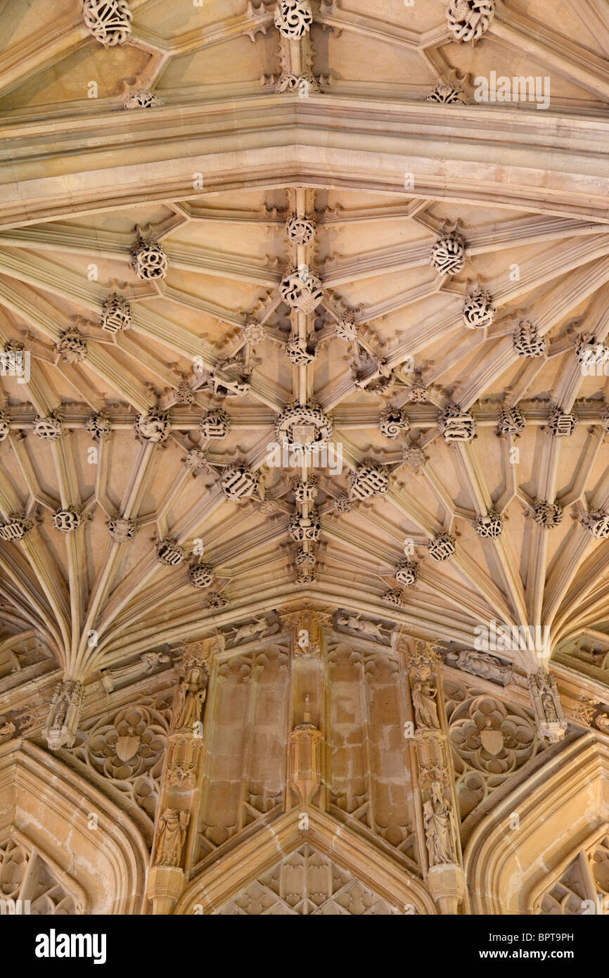 Divinity school vaulted ceiling hi-res stock photography and images - Alamy