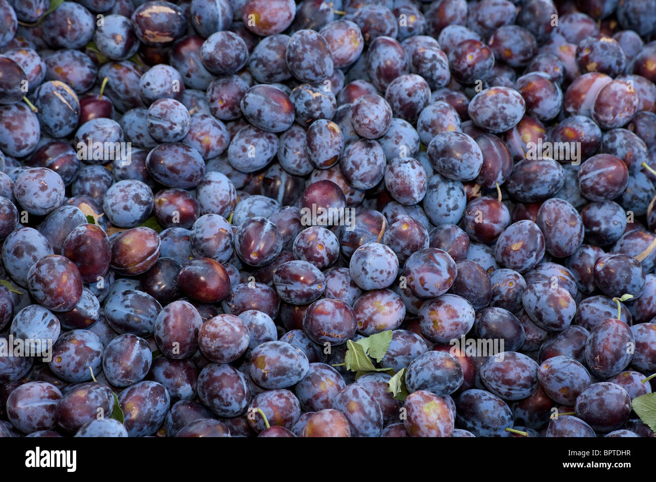 Plum fruit food close up hi-res stock photography and images - Alamy