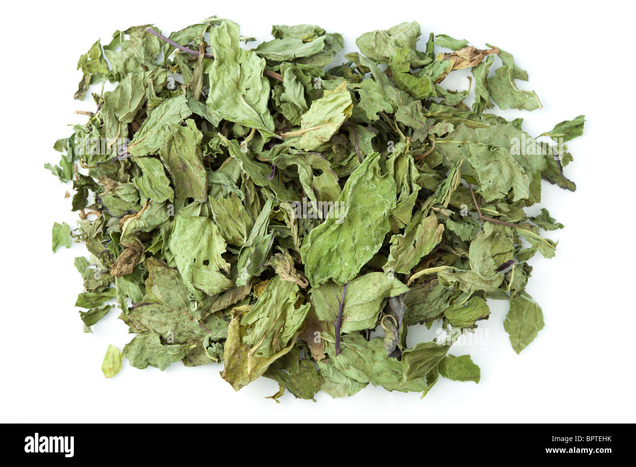 dried peppermint leaves Stock Photo