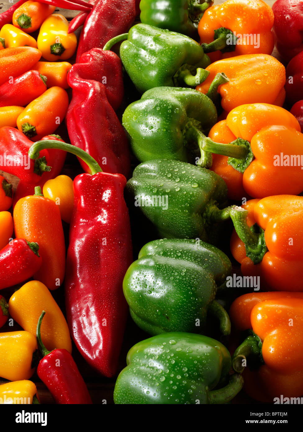 Green Bell Peppers Growing in Field Stock Photo. 