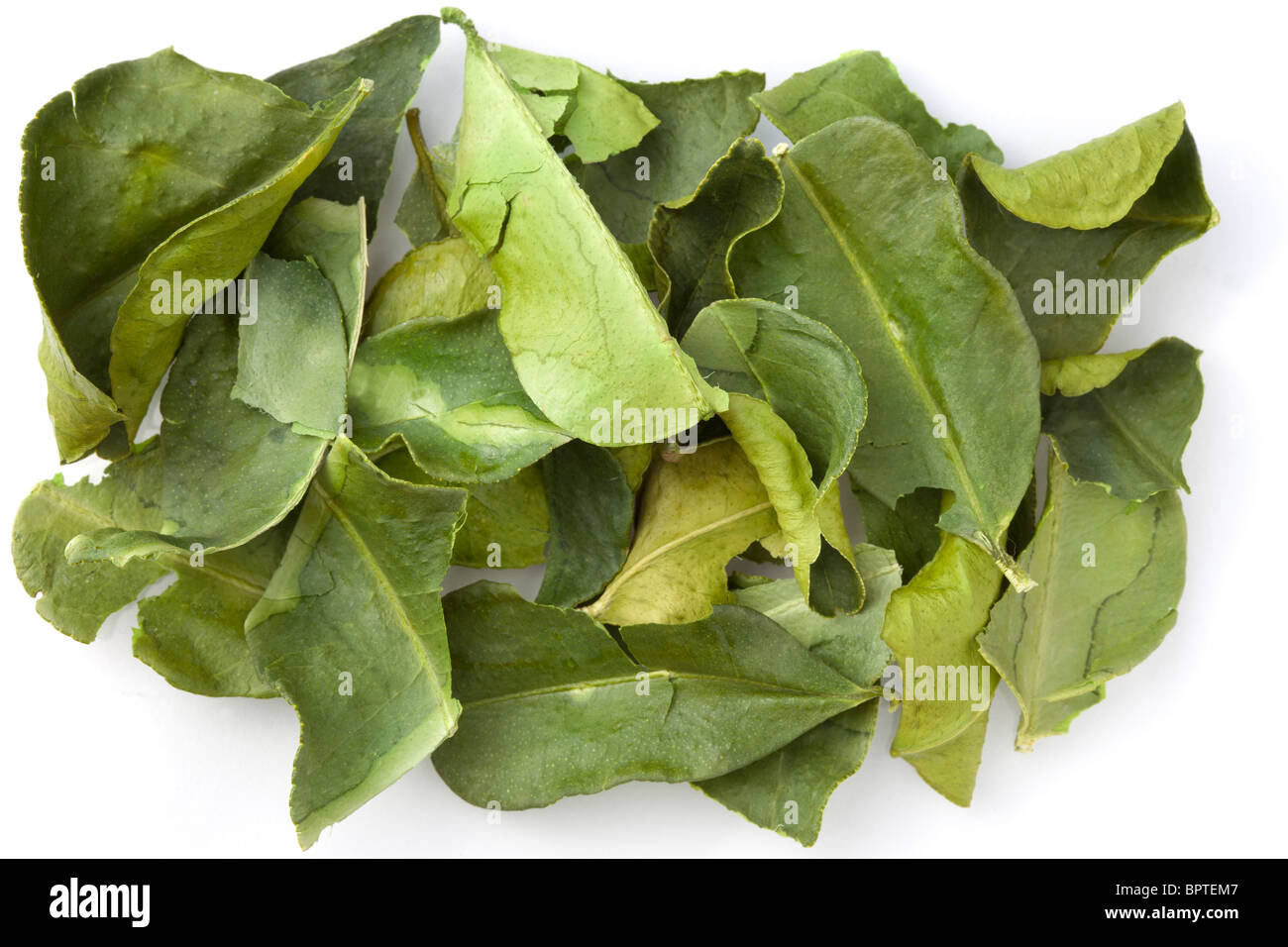 dried kaffir leaves Stock Photo