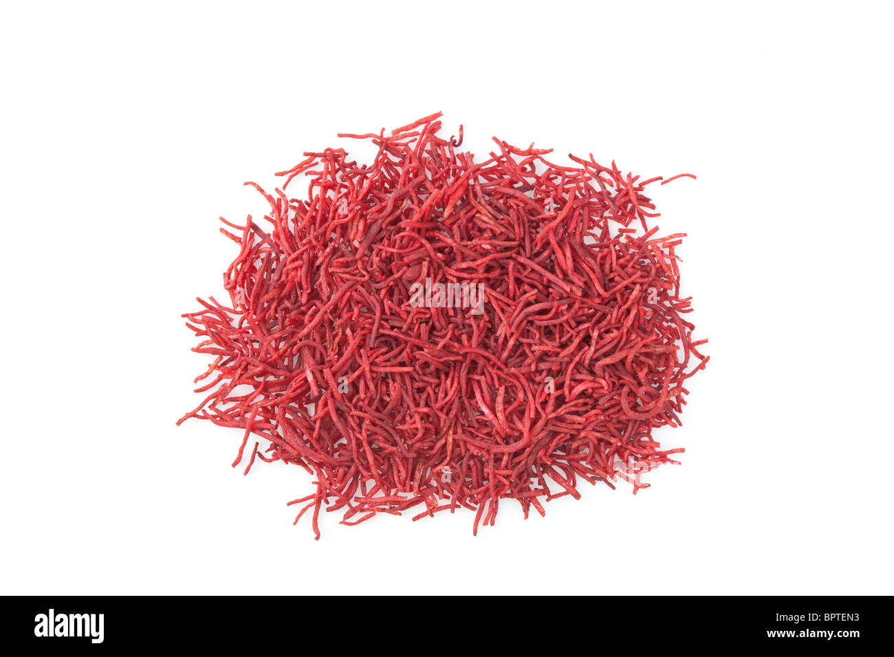 Saffrons crocus sativus Cut Out Stock Images & Pictures Alamy