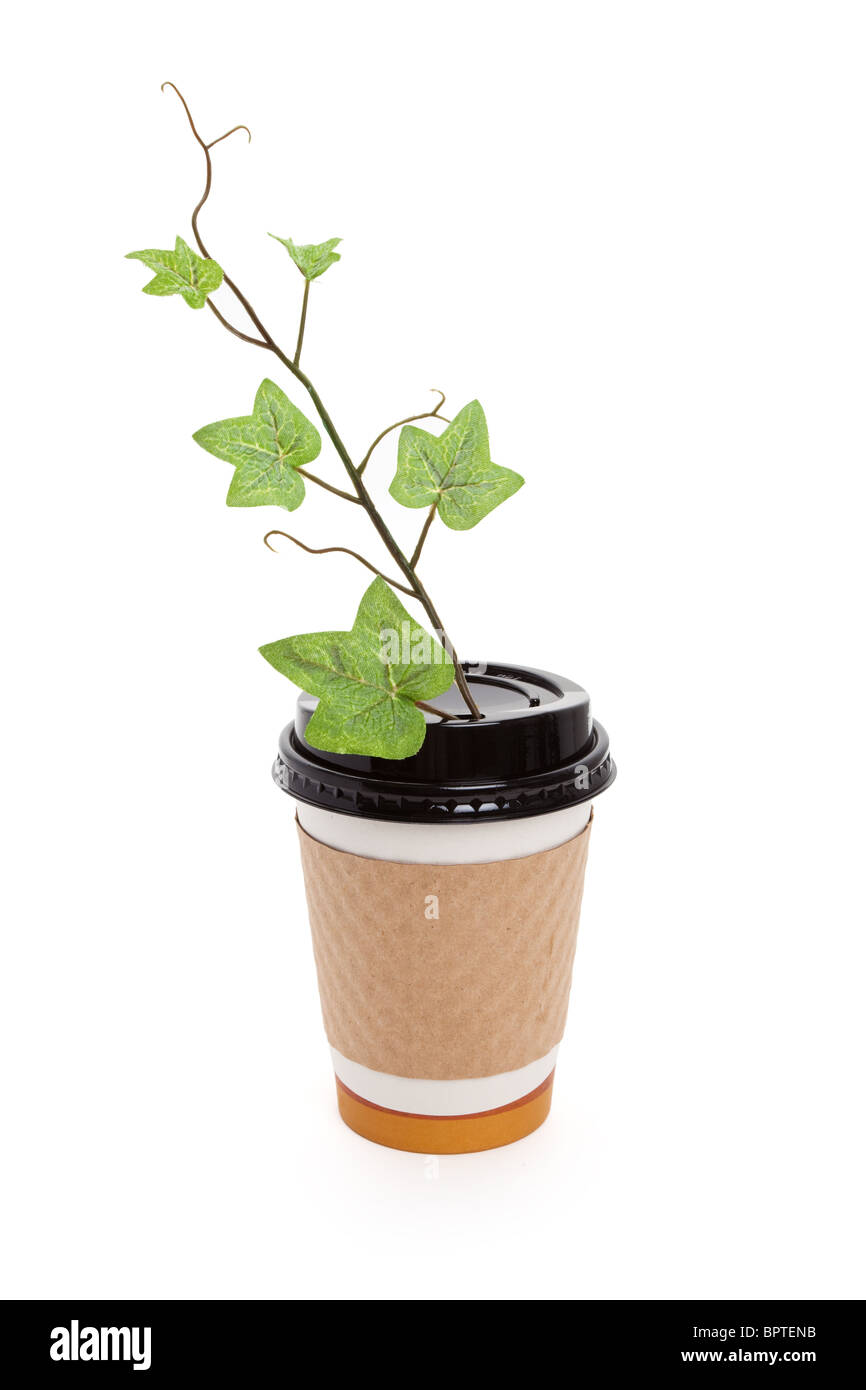 Disposable Coffee Cup and Sprout with white background Stock Photo