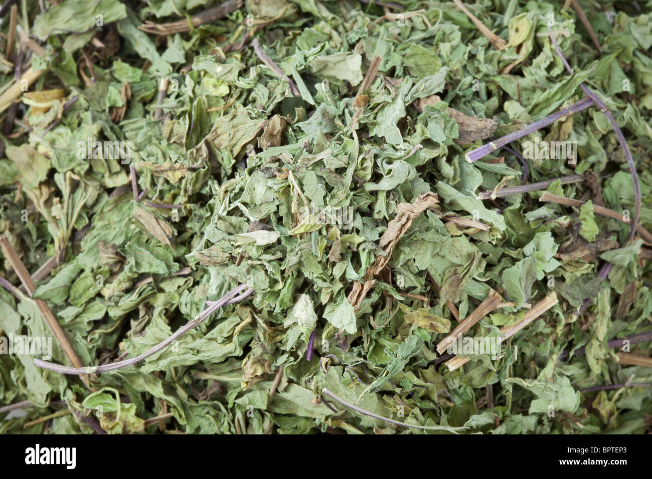 dried peppermint leaves Stock Photo Alamy
