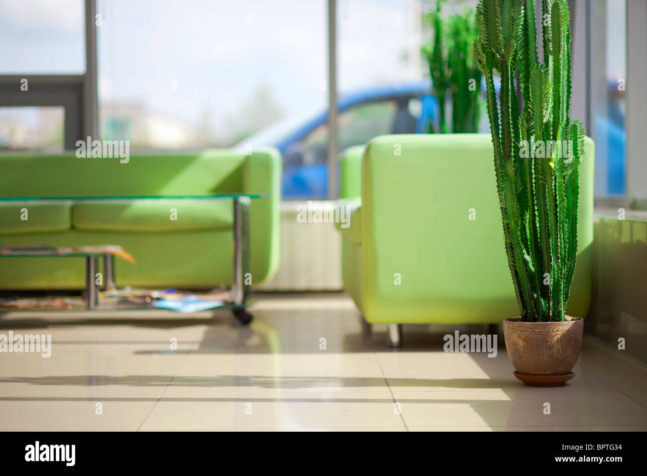 Modern cactus design hi-res stock photography and images - Alamy