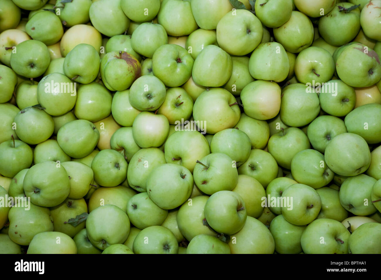 Apple close up for background Stock Photo