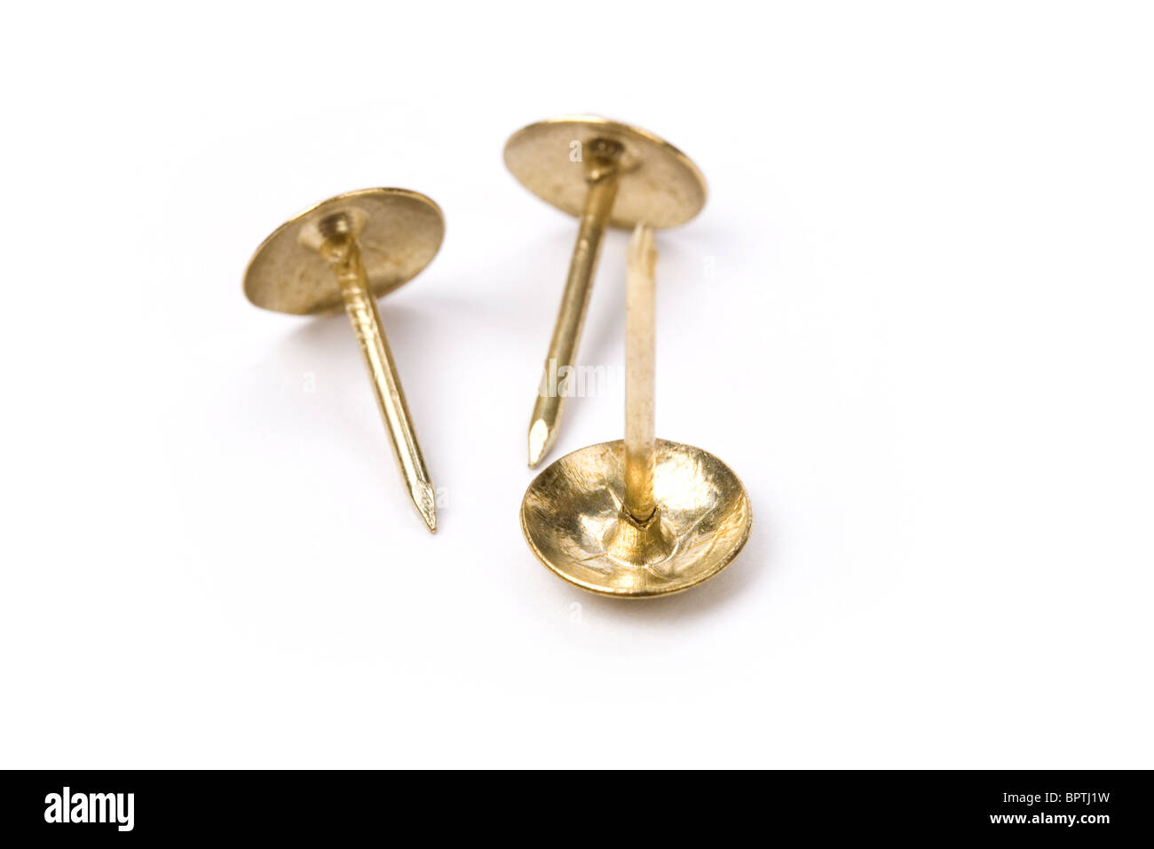 Upholstery Nails with white background Stock Photo Alamy