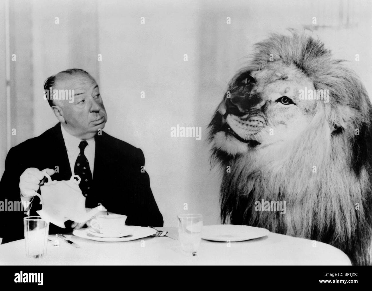 ALFRED HITCHCOCK & LION DIRECTOR (1968) Stock Photo