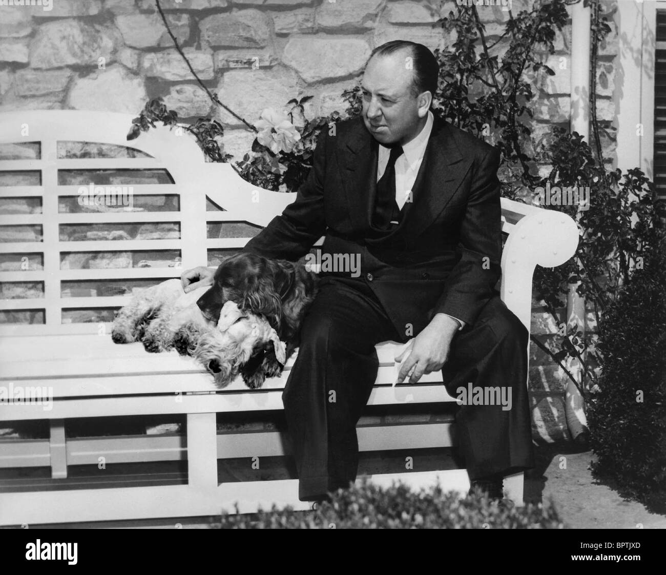 ALFRED HITCHCOCK & DOGS DIRECTOR (1940) Stock Photo