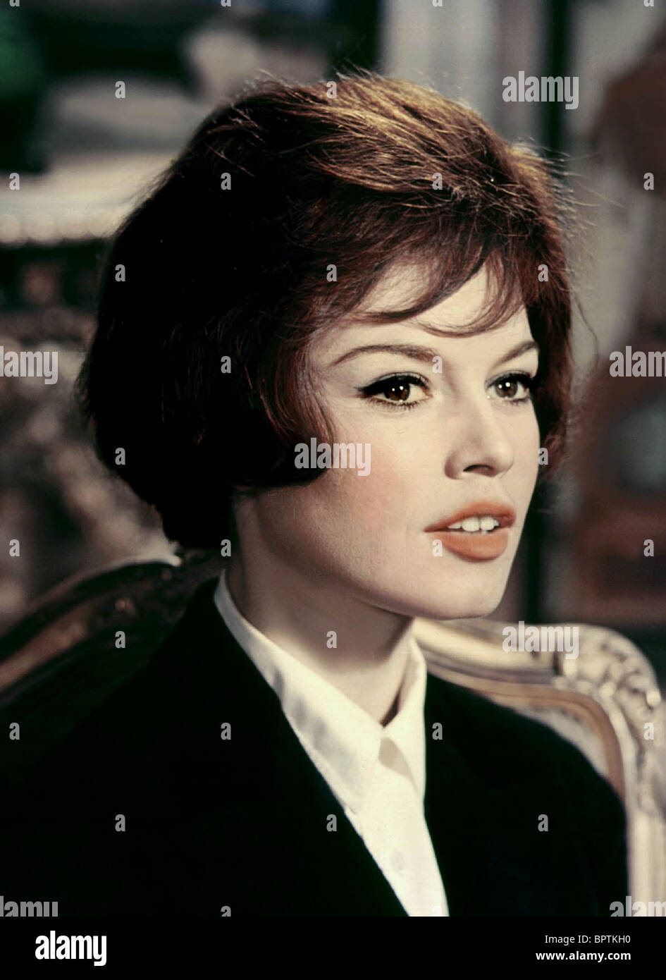 Brigitte Bardot main image 0
