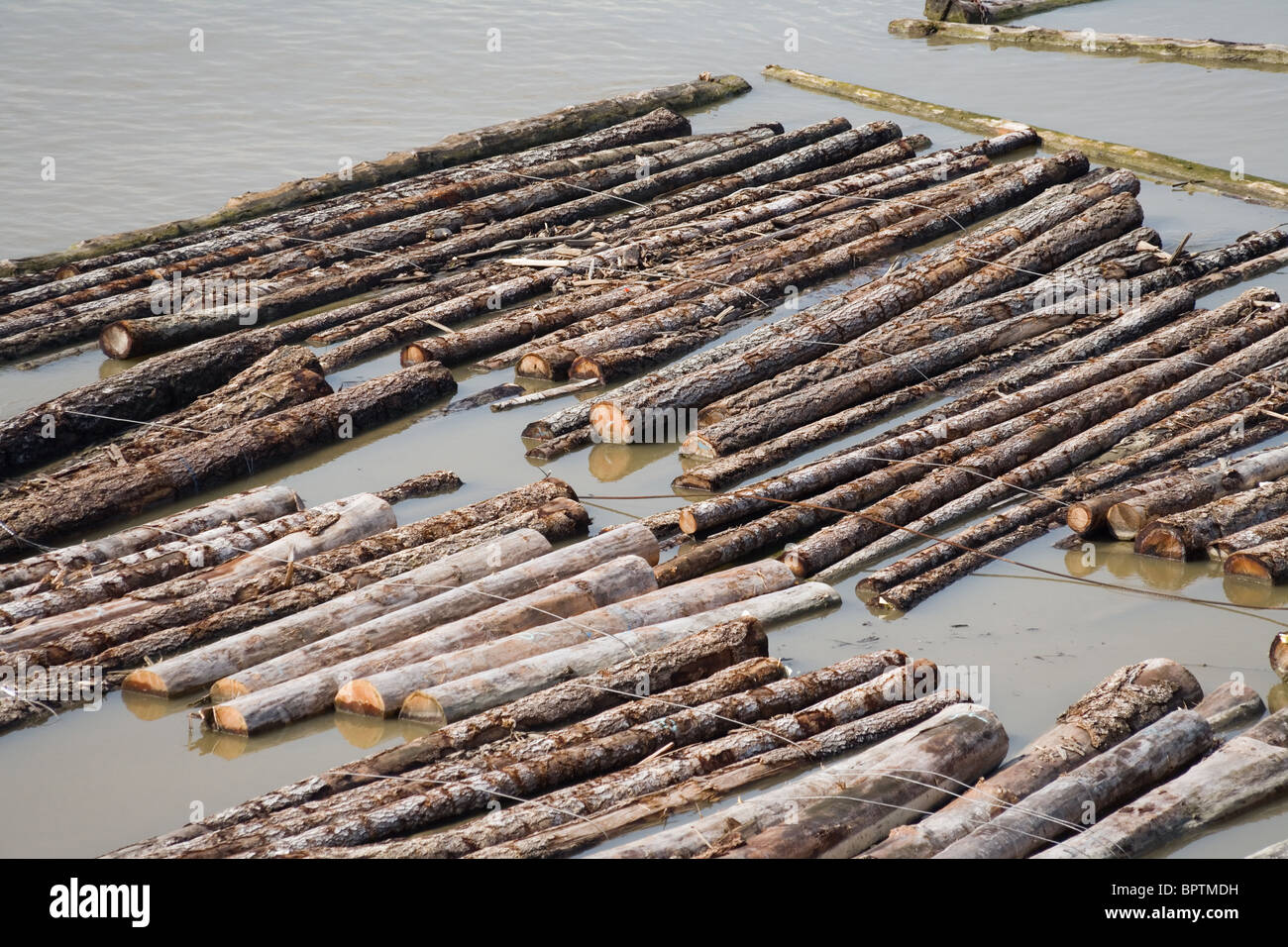 Log and Lumber Floating On Water Stock Photo