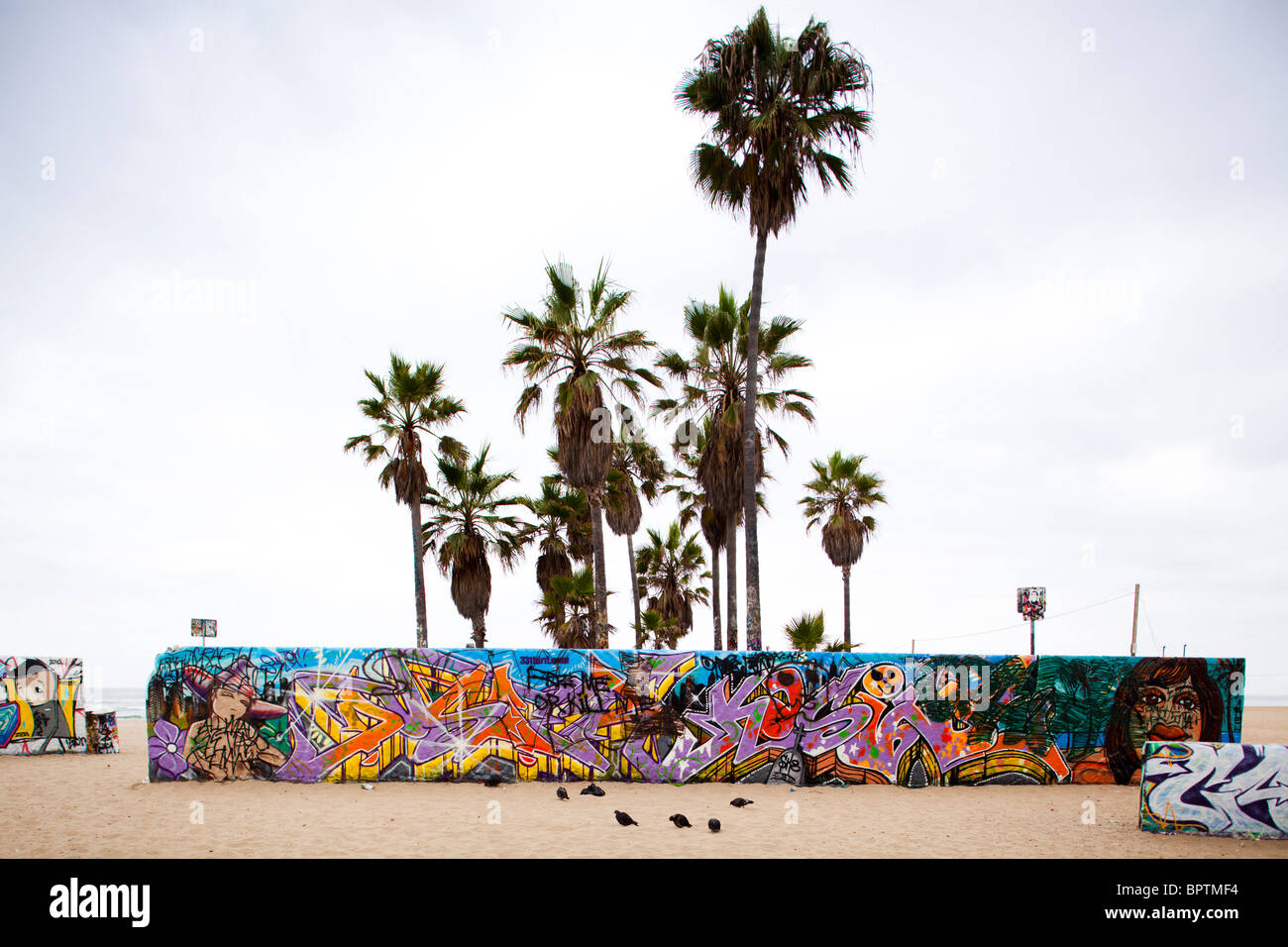 Graffiti and Palm trees, Venice Beach, Los Angeles County, California